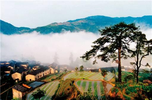 2024年鹰潭市移风易俗工作推进会召开
